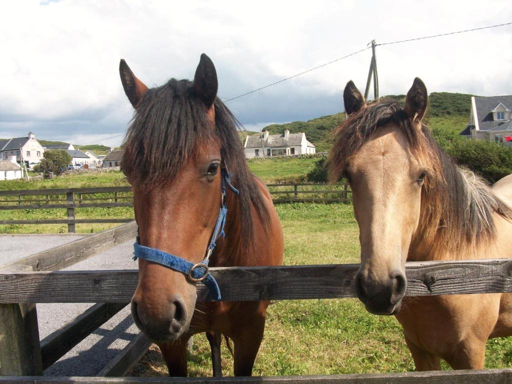 O'Connor'S Accommodation Doolin Luaran gambar